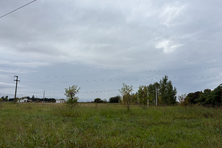 Terreno en Venta en Girasoles y Camino a Manantiales | Tierra de Sueños Etapa 2, Pergamino Ciganda Inmobiliaria