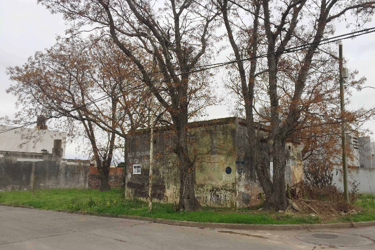 Jujuy y virgen de Lourdes