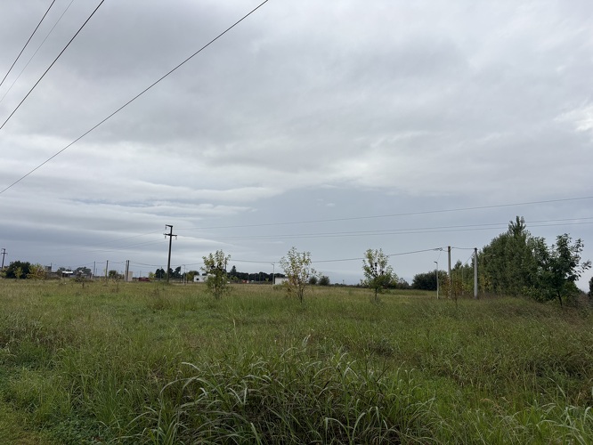 Terreno en Venta en Girasoles y Camino a Manantiales | Tierra de Sueños Etapa 2, Pergamino Ciganda Inmobiliaria